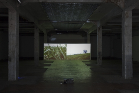 Walk, 2011 – with Tereza Velíková. Video (3.50’) recorded simutaneously with two cameras, , exhibition view from Karlin Studios. 
