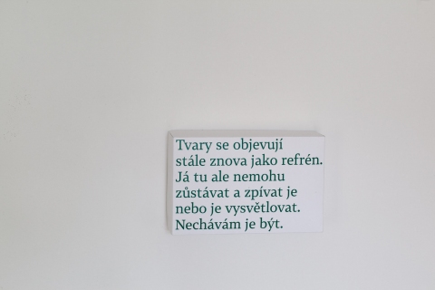 Refrén, 2014, galerie Svit, Praha