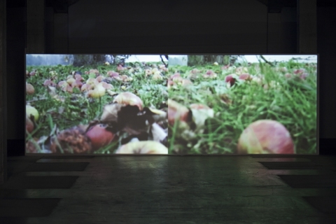 Chůze, 2011 – společně s Terezou Velíkovou. Video (3.50’) natočené simultánně dvěma kamerami, pohled do instalace v Karlin Studios.