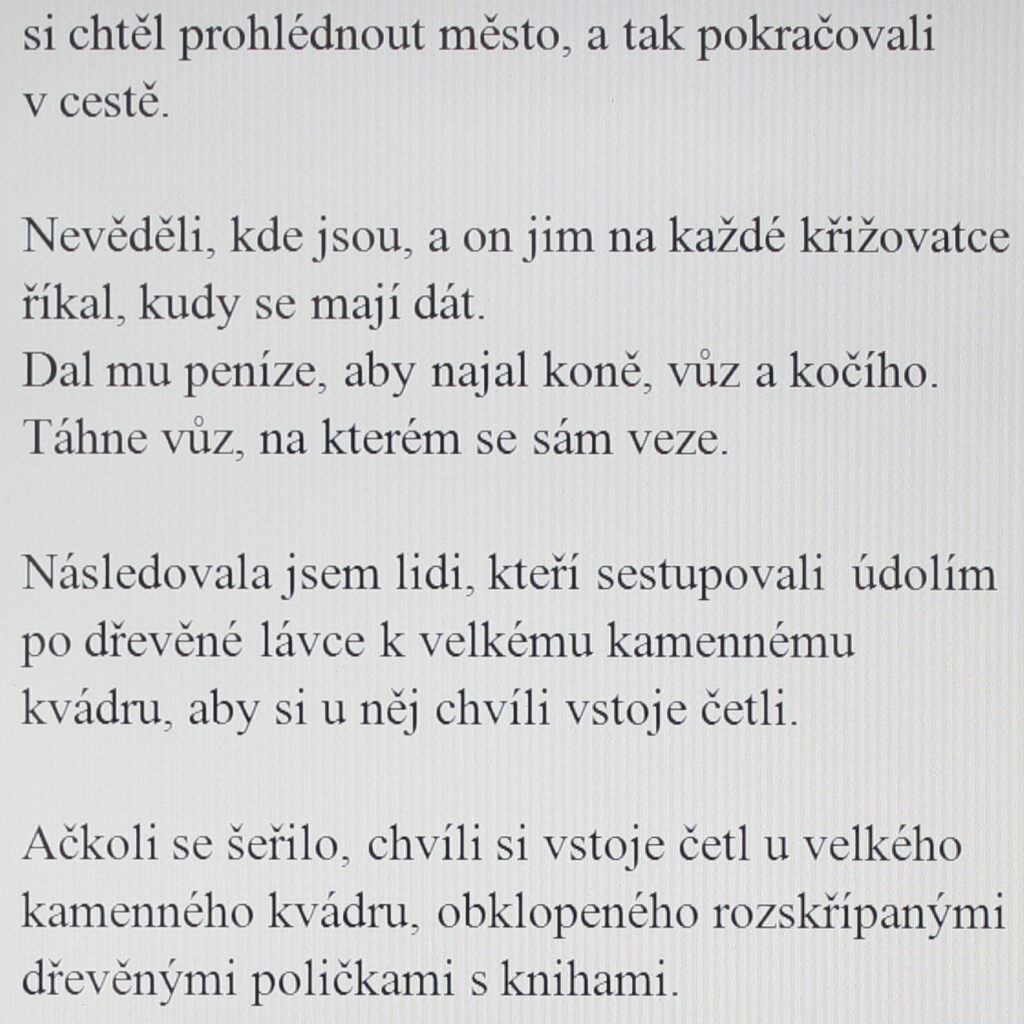 wanted to see the city, so they continued on their way.

They didn’t know where they were, and he told them at each crossroad which way they should go.

He gave him money to rent a horse, carriage and driver.

He’s pulling the very cart on which he’s riding.

I followed people that were descending through the valley on a wooden footbridge to a large block of stone so they could stand by it and read for a moment.

Although it was getting dark they read for a moment by a large block of stone that was surrounded by creaky wooden shelves with books.
