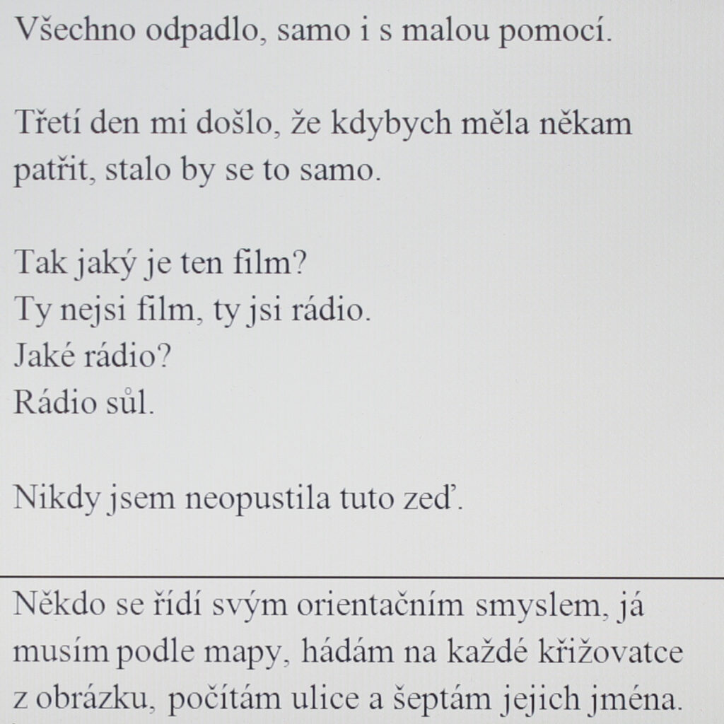 Everything fell away, on its own and with little help.

On the third day it occurred to me that if I was meant to belong to a certain church it would happen on its own.

So, how’s the film?
You’re not a film; you’re a radio.
What kind of radio?
Radio salt.

I’ve never abandoned this wall.

Some people can get where they’re going using their innate sense of direction, but I need a map. I make a guess at each crossroad from the picture; I count streets and whisper their names.

