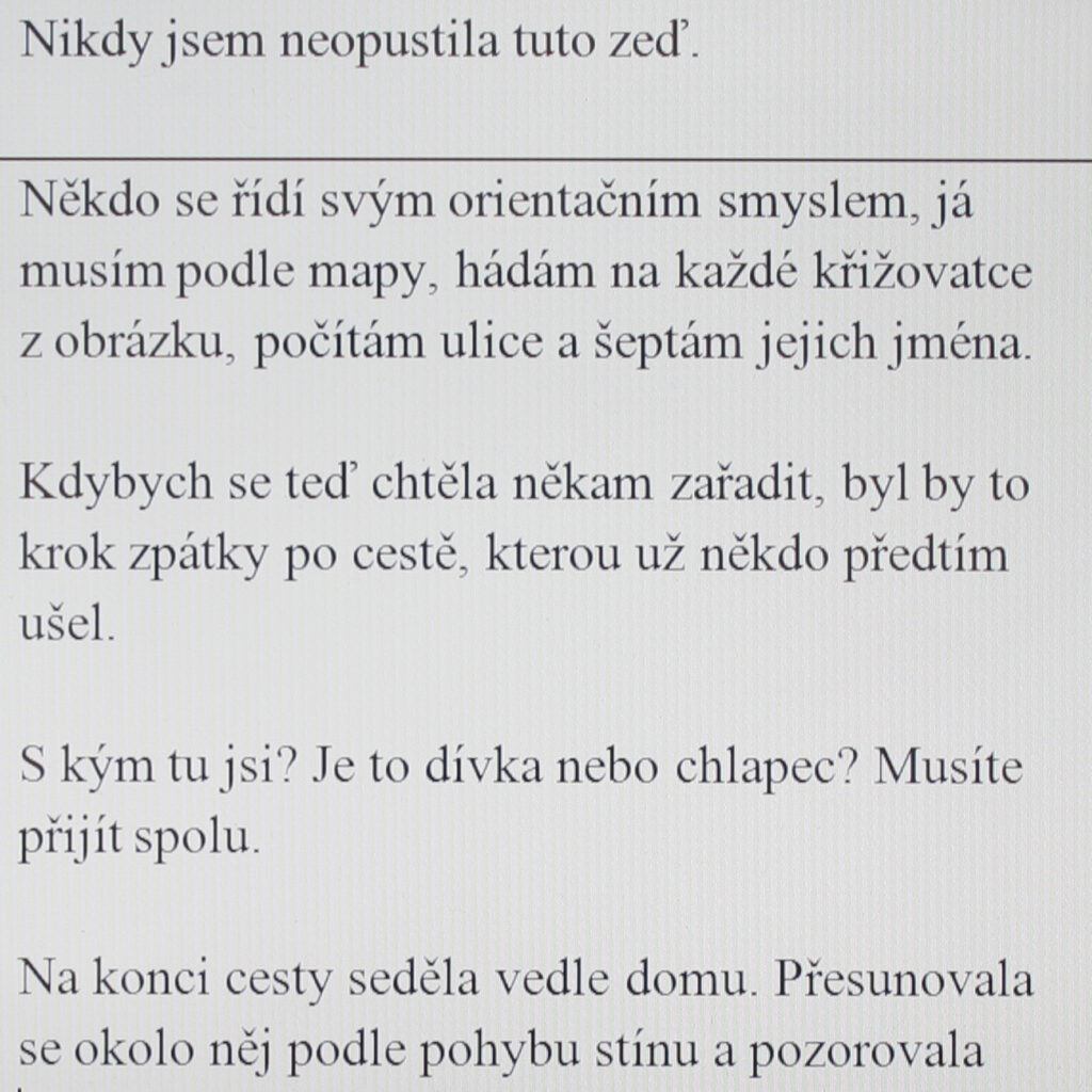 I’ve never abandoned this wall.

Some people can get where they’re going using their innate sense of direction, but I need a map. I make a guess at each crossroad from the picture; I count streets and whisper their names.

If I wanted to fit in somewhere now, it would be a step back along a road someone else has already covered.

Who are you with? Is it a girl or a boy? You have to come together.

At the end of the trip she sat next to a house. She moved around it following the movement of the shade and watched 